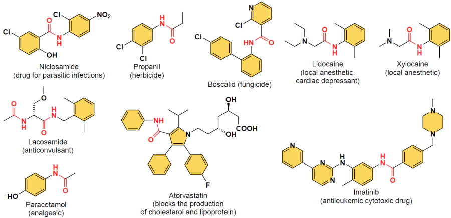 Amide-substituted agrochemicals and pharmaceuticals