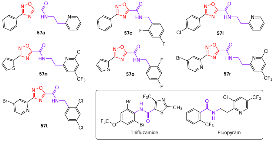 Structures of 1,2,4-oxadiazoles-based amides 57 with the highest antifungal activity and active ingredients of commercial products (drawn in the box).40