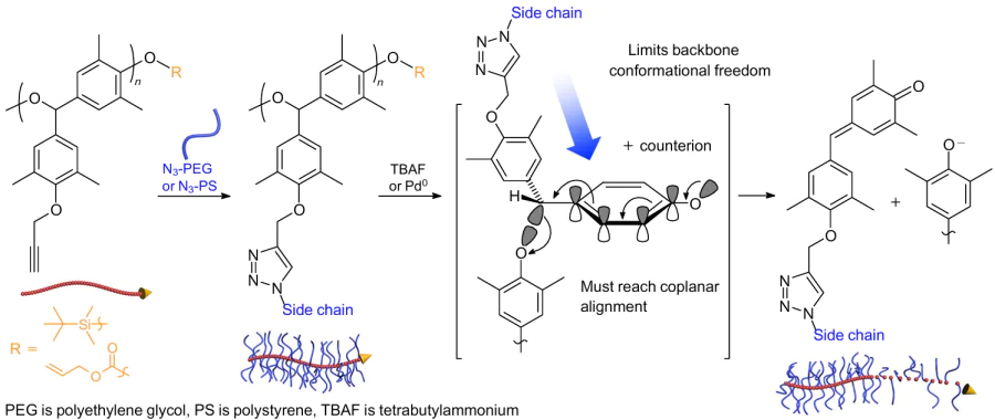 Schematic view of the synthesis and depolymerization of molecular brushes.32 Reproduced with the permission of American Chemical Society.