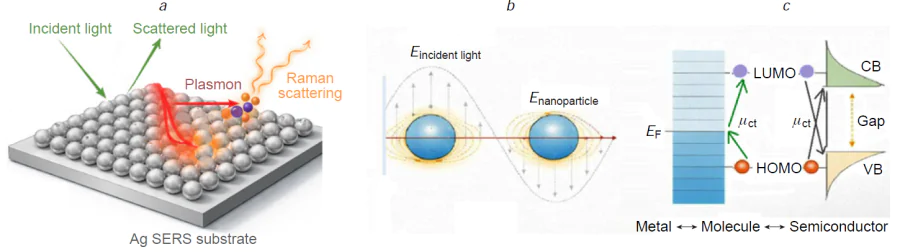 A scheme of the increase of Raman spectrum intensity by nanostructured surfaces (a). The electromagnetic (b) and chemical (c) mechanisms are responsible for SERS intensity. LUMO is the lowest unoccupied molecular orbital, HOMO is the highest occupied molecular orbital, CB is a conduction band, VB is a valence band.