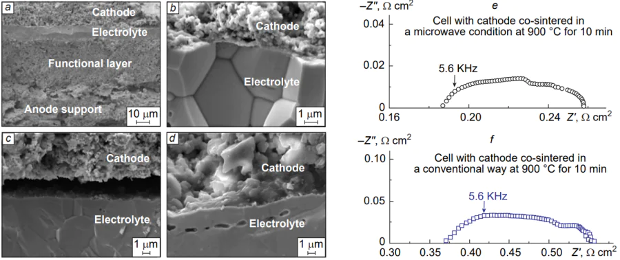 SEM images for (a) the section of a fabricated cell, (b) cathode/electrolyte interface (microwave-assisted cathode co-sintered at 900 °C for 10 min); (c) cathode/electrolyte interface (conventional method assisted cathode co-sintered at 900 °C for 10 min) and (d) cathode/electrolyte interface (conventional method assisted cathode co-sintered at 1000 °C for 2 h); electrochemical impedance spectra of the cells with a Ba0.5Sr0.5Co0.8Fe0.2O3–d (BSCF) cathode co-sintered at 900 °C for 10 min by (e) microwave sintering, (f) conventional sintering. (Reprinted with permission from [97] Copyright 2019 Elsevier.)