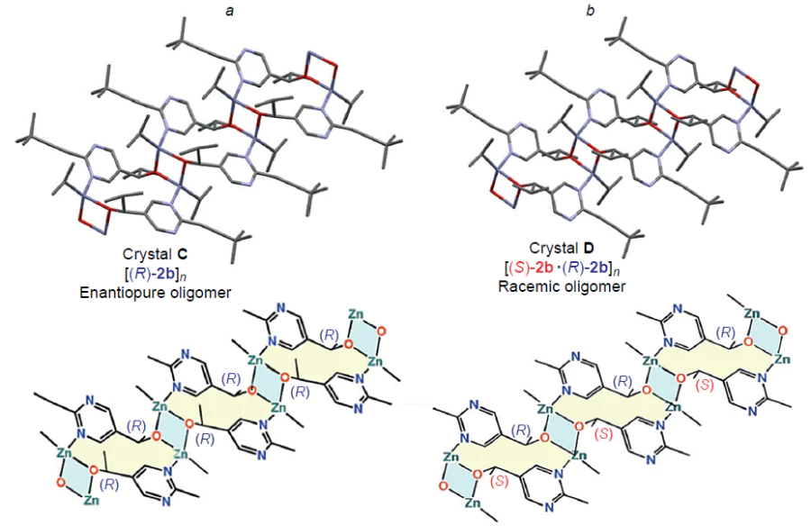 Molecular structure and simplified structure of an oligomer co-crystallized with 1 – 2 equiv. Pri2Zn. Crystal of enantiomerically pure oligomer C (а). Crystal of racemic oligomer D (b).64 Сopyright Wiley 2015.