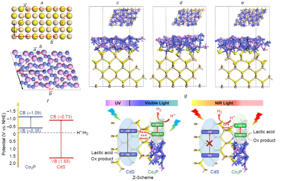 Interfacial structure and charge transfer mechanisms in TMP-based heterojunction photocatalysts. Top view of the 4 × 2 CdS (100) unit cell (a). 2 × 2 Co2P (112) unit cell (b). Interface models A (c), B (d), and C (e). Cd, Co, S, and P atoms are shown in dull yellow, blue, yellow, and purple correspondingly. Red dashed lines mark the CdS (100)/Co2P (112) interface. Band structure schematic of Co2P and CdS (f). Charge transfer mechanisms of Co2P/CdS under UV-Vis and near-infrared (NIR) light (g). Reproduced from Li et al.105 with permission from the American Chemical Society.