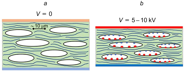 Schematic representation of the operation of a polymer electret containing bipolar voids; (a) the electret with no voltage applied, the voids are expanded, (b) a high voltage is applied, the voids are contracted. The Figure was prepared by the authors using original data from the studies86