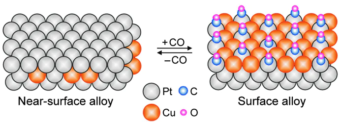 Surface segregation on Pt1Cu alloys induced by CO adsorption.296