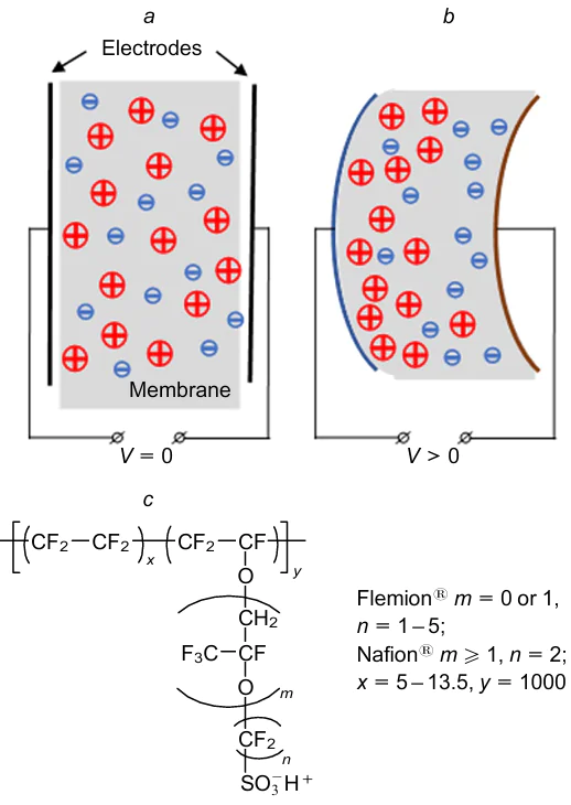 IPMC membrane with electrodes: (a) the membrane in the initial state; (b) the actuated membrane; (c) the structural formulas of the materials Nafion® and Flemion®. The Figure was prepared by the authors using original data from the studies10,24