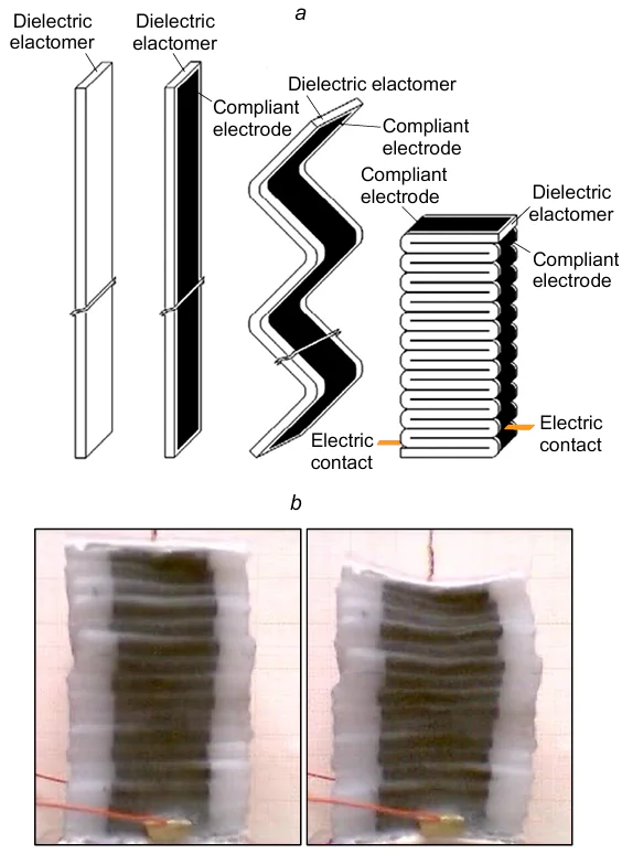 Folded DEA with a rectangular cross-section: (a) schematic of the folding of the DEA membrane; (b) actuator in the non-actuated state (on the left) and the actuated state (on the right).260 Reproduced with the permission of IOP Publishing