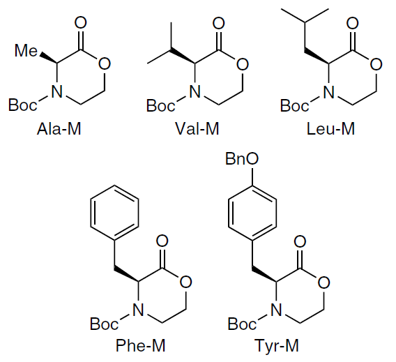 Structures of morpholin-2-one monomers based on natural amino acids