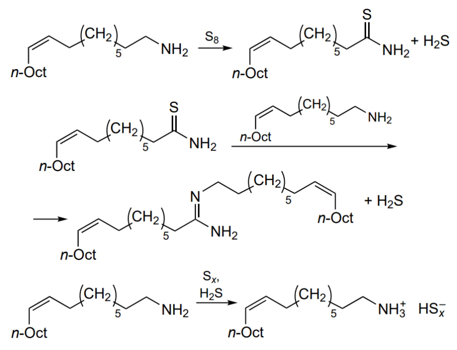 Formation of oleylammonium polysulfides upon the dissolution of sulfur in oleylamine at low temperature.