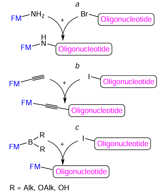 Schematic picture of the reaction of bromo(iodo)-containing oligonucleotides with amino-, alkynyl-, or boron-modified FMs