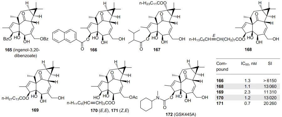 Structures of ingenol esters 165-172 and anti-HIV-1 activity of compounds 166 and 168-171.114, 117-119