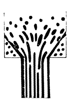 Schematic view of the formation of the fibril-reinforced morphology in a two-component flow of a blend of incompatible polymers in a capillary (profile extrusion die).99 Reproduced with the permission of Wiley.