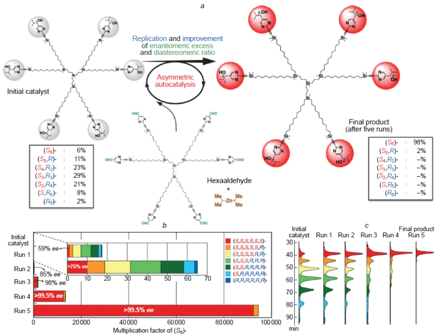 Asymmetric autocatalysis with the use of hexaaldehyde (а). Rates of amplification of the enantiomeric excess of hexanol (b). Visualization of the change in the enantiomeric excess of the products at each reaction cycle (c).25 Сopyright Wiley 2014.