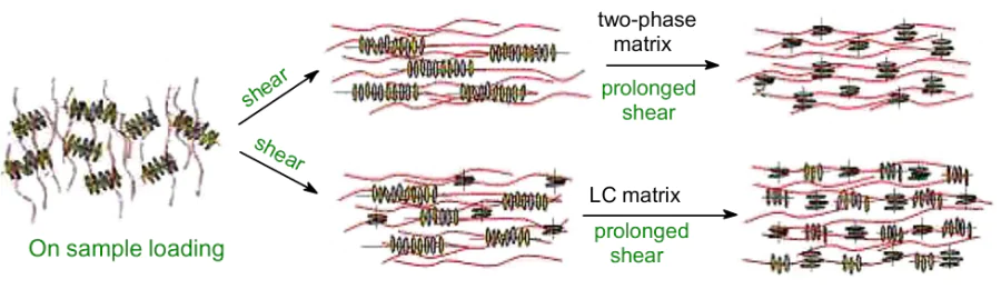 Schematic diagram of the stages of formation of the mesophase structure of clay particles in anisotropic matrices upon intense shear.131 Published with permission from the American Chemical Society.