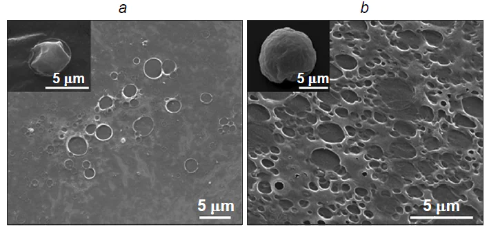 SEM images of tetradecane-filled chitosan capsules prepared in 0.2 vol.% (а) and 25 vol.% (b) aqueous solutions of acetic acid.40 Published with permission from the Royal Society of Chemistry.