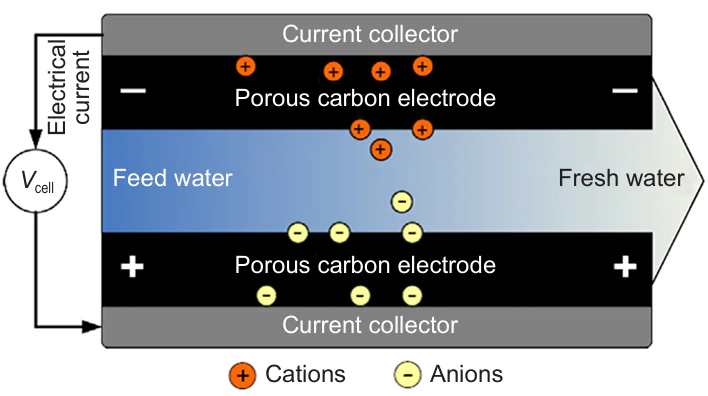 Diagram of CDI cell.151