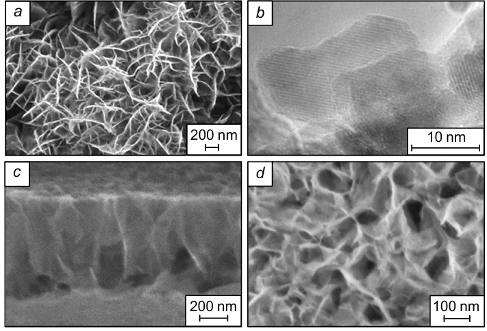 Electron micrographs of arrays of metal oxide and hydroxide nanosheets: SEM (a) and TEM images (b) of an FeOOH layer formed on the surface of a FeCl2 solution upon treatment with NH3 gas; (c, d) SEM images of a layer based on cobalt(II, III) oxide formed on the surface of a CoCl2 solution on treatment with O3 gas.162