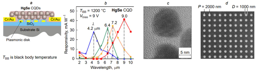 Photoresistor based on HgSe CQDs with plasmonic Au nanodisks: (a) photoresistor architecture; (b) spectral dependences of the responsivity of CQDs of different diameters (~5 to ~16 nm); (c) TEM image of CQDs; (d) SEM image of plasmonic disks of 1000 nm in diameter with a 2000 nm distance between the centres on the SiO2 surface[177].