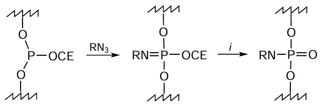 Reaction of azido-FM and internucleoside 2-cyanoethyl phosphite moiety and subsequent deprotection and formation of amino-conjugate at the internucleoside phosphate group (step i)