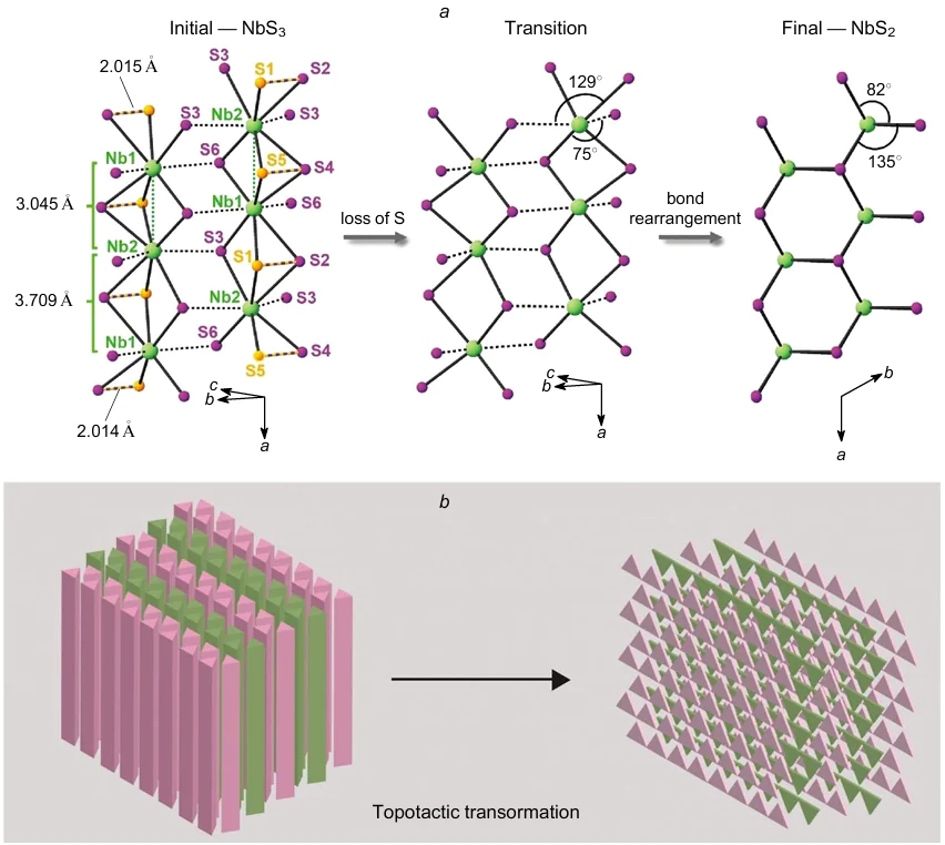 Structure of pristine NbS3 (a). When heated in vacuo to 1000 °C, the loss of sulfur occurs (marked in yellow), the bonds are then rearranged, and NbS2 is formed; schematic representation of the topotactic transformation of quasi-1D NbS3 to quasi-2D NbS2 (b).261 Reprinted with the permission of the American Chemical Society