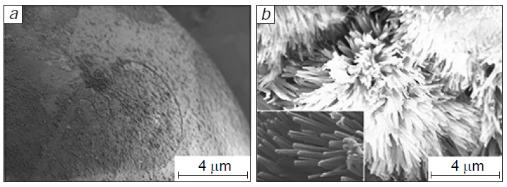 SEM images of the surface of standard spherical aluminum oxide (a) and aluminum oxide with a modified flower-shaped array (b). Reproduced from Ref. 189 with permission from the American Chemical Society.