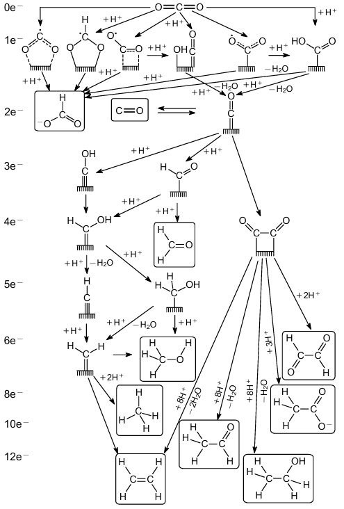 Spectrum of possible products of electrocatalytic CO2 reduction up to C2