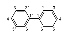 Biphenyl structure with carbon atom numbering according to IUPAC rules