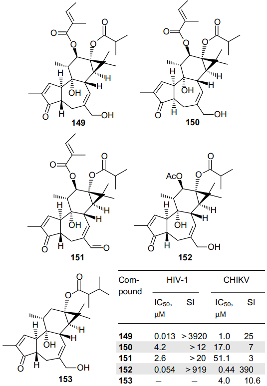 Structures and antiviral activity of 4-deoxyphorbol esters 149-153.101