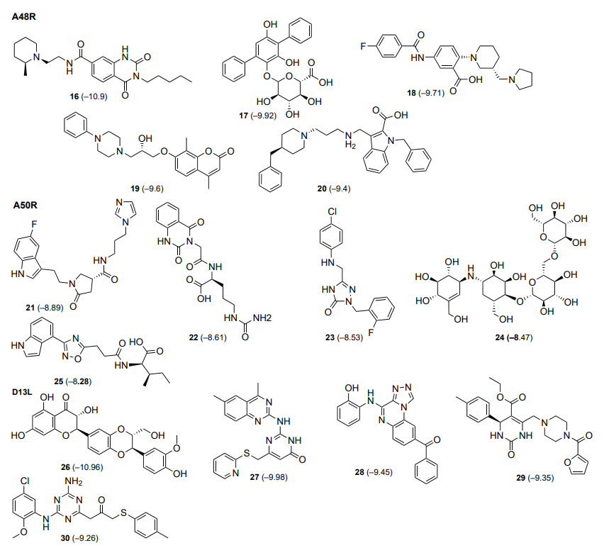 (the values in parentheses are scoring functions, kcal mol–1)