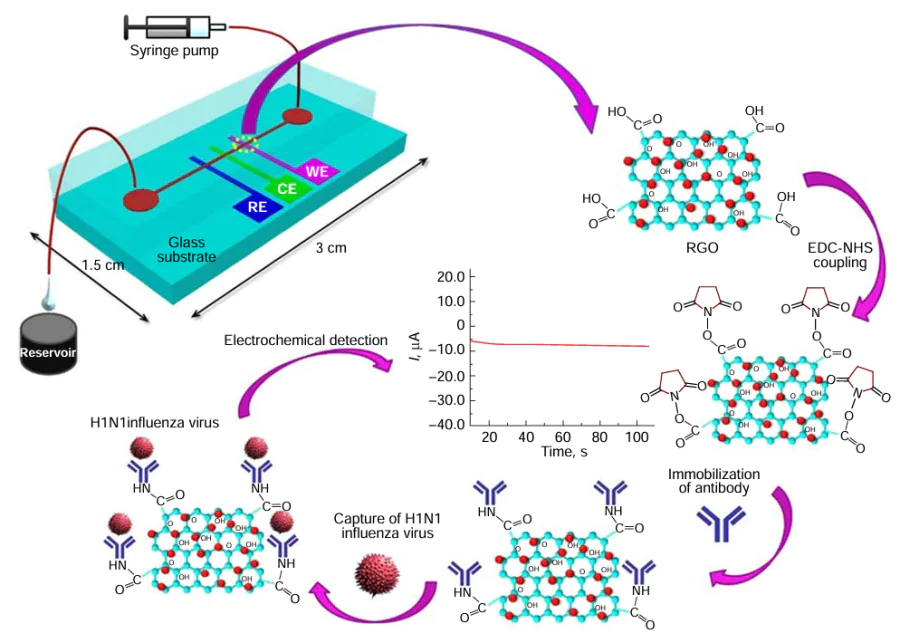 Schematic representation of a microfluidics-integrated electrochemical immune-sensing chip coated with rGO and subsequently undergoing antibody immobilization using EDC/NHS coupling for influenza virus H1N1 detection. Reproduced with permission from the Ref. 217.