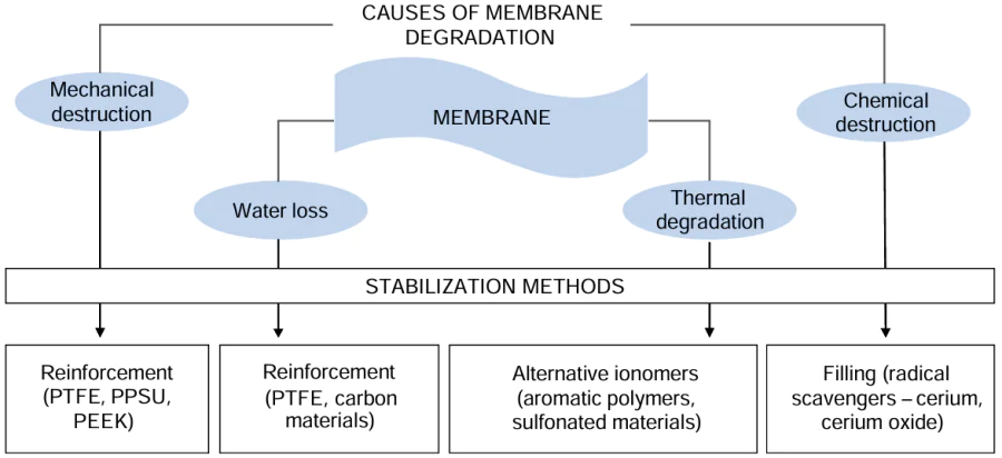 Causes for degradation and methods for stabilization of membranes.