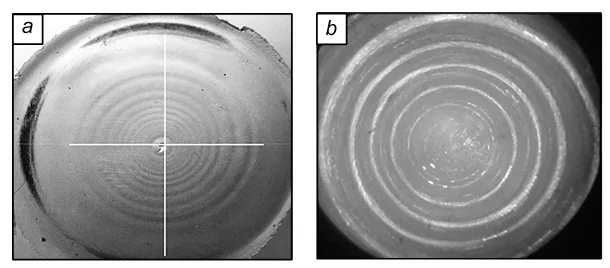 Photomicrographs (4×) of the surface of a polycarbonate melt once the spurt mode is achieved (a) and the distribution of anisodiametric particles of the crushed mineral Na-sepiolite (aspect ratio is ≈100) in the PIB matrix under similar conditions (b).120