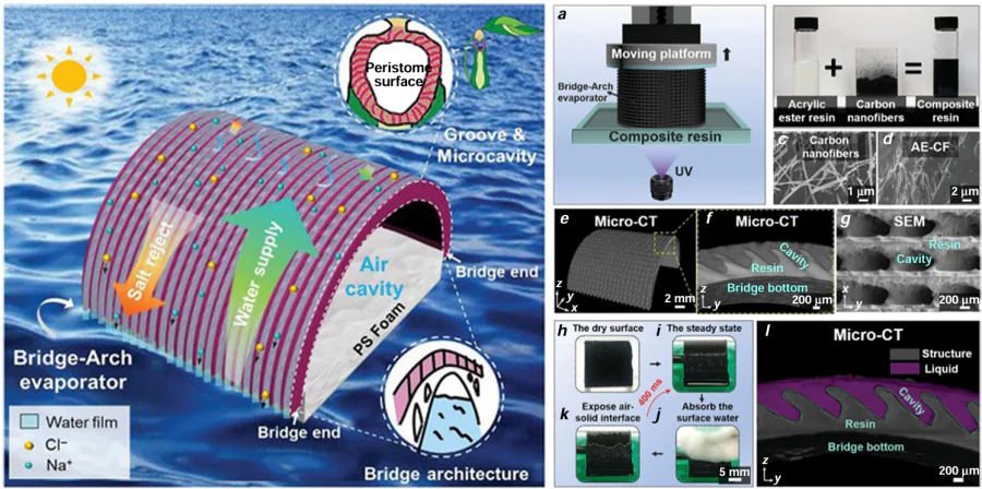 (a) Schematic diagram of the operation of a biomimetic 3D arched solar evaporator. (b) Schematic diagram of the evaporator manufacturing process and micrographs of its surface and cross-section.202 © John Wiley &amp;#38; Sons, Inc, 2021.