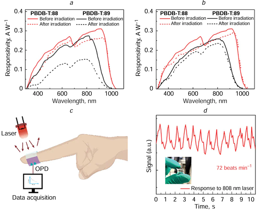 Responsivity of organic photodetectors (OPD) with the active layer based on the thiophene-containing polymer PBDB-T and compounds 88 and 89 before and after 18 h irradiation at 100 mW cm–2 simulating solar light (а) and before and after storage under inert atmosphere (N2) for 600 h (b); block diagram of operation of OPD devices (c) and pulse signal measured with a laser at λ = 808 nm through a fingertip (the inset shows the OPD image) (d). Reproduced from Wang and co-workers 54 with per mission from Wiley.