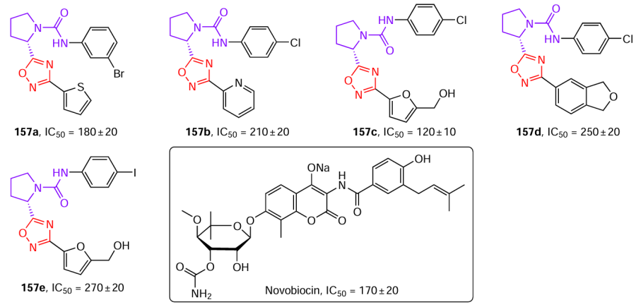 Structures of 1,2,4-oxadiazolyl(pyrrolidones) 157 with a high antibacterial activity and novobiocin (drawn in the box) with indicated IC50 value (in nM).90