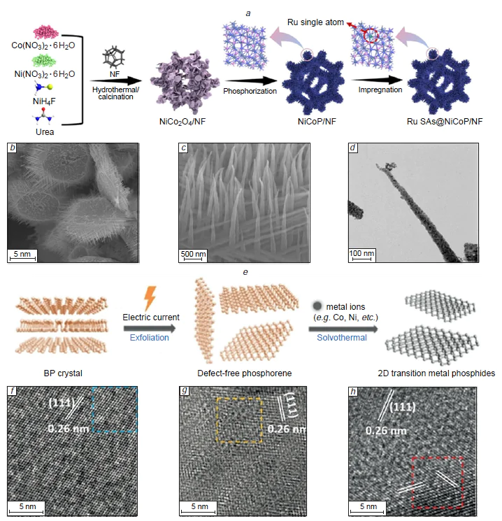 Morphology evolution and synthesis of TMP-based nanostructures and Ru single-atom-decorated TMP catalysts. Schematic illustration for the synthesis of Ru SAs@NiCoP/NF (a). SEM images of Ru SAs@NiCoP/NF (b, c). TEM image of the Ru SAs@NiCoP (d). Reproduced from Fan et al.42 with permission from Wiley. Exfoliation and transformation of bulk black phosphorus crystals into 2D TMPs (e). HRTEM images of phosphorene sheets after reaction for 0 min (f), 20 min (g), and 60 min (h). Reproduced from Yang et al.43 with permission from Wiley.