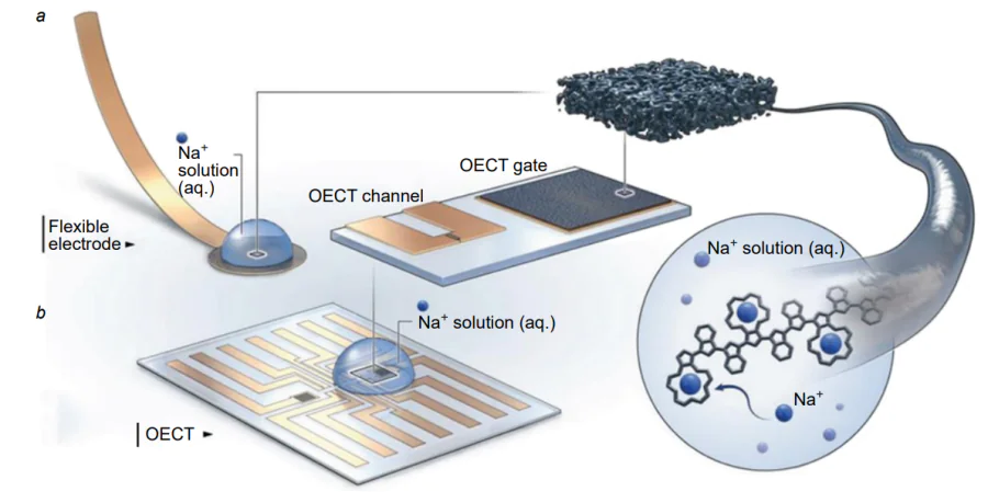 Example of OECT sensor for the detection of sodium ions[79]. Published with permission from Wiley.