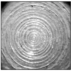 Photomicrograph (4×) illustrating the morphology of the PSF-LC CPE melt of polyethylene terephthalate with hydroxybenzoic acid produced at the cone-plane.106