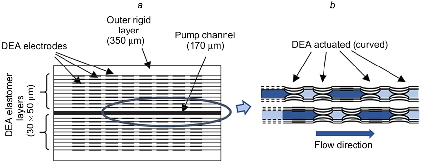 DEA peristaltic pump: (a) schematic of the arrangement of the layers of the DEA peristaltic pump, which utilizes pairs of multilayer bending DEAs as sections, (b) sequential actuation of the sections of the DEA pump during the operation. The Figure was prepared by the authors using original data from the study143