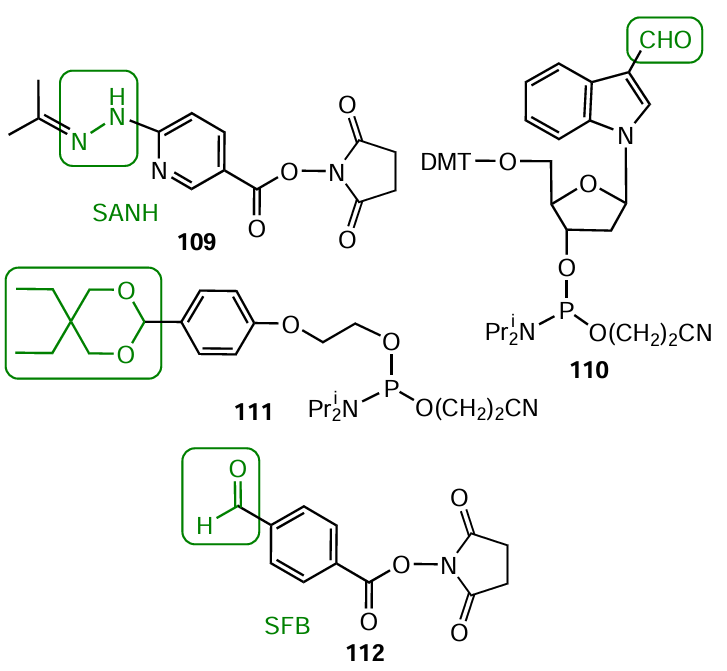 Structures of commercially available modifiers with protected hydrazido group (109) and protected (111) and free (110, 112) aldehyde groups