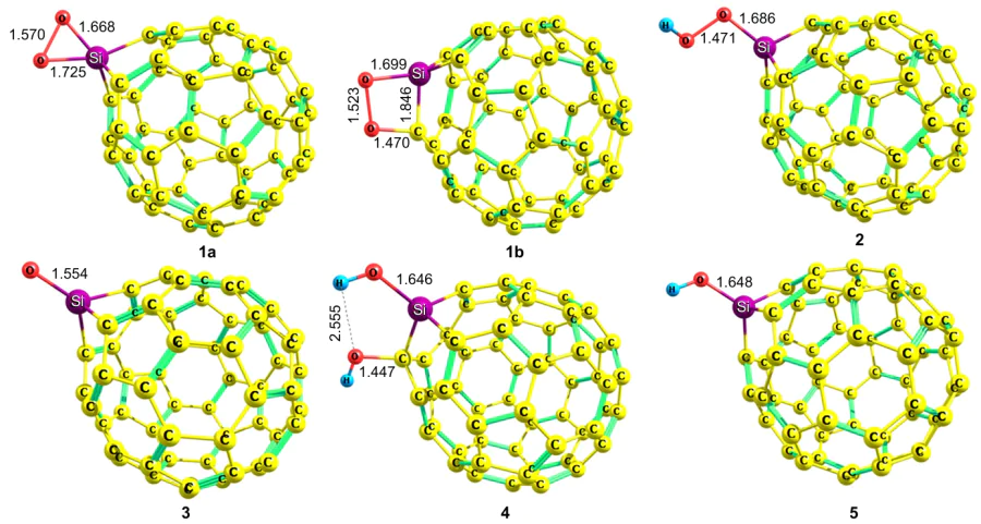 Structures of ORR intermediates on Si-fullerene C59Si: O2*-C59Si siladioxirane (1a), O2*-C59Si bridging (1b), HOO*-C59Si (2), O*-C59Si (3), HO*HO*-C59Si (4) and HO*-C59Si (5).