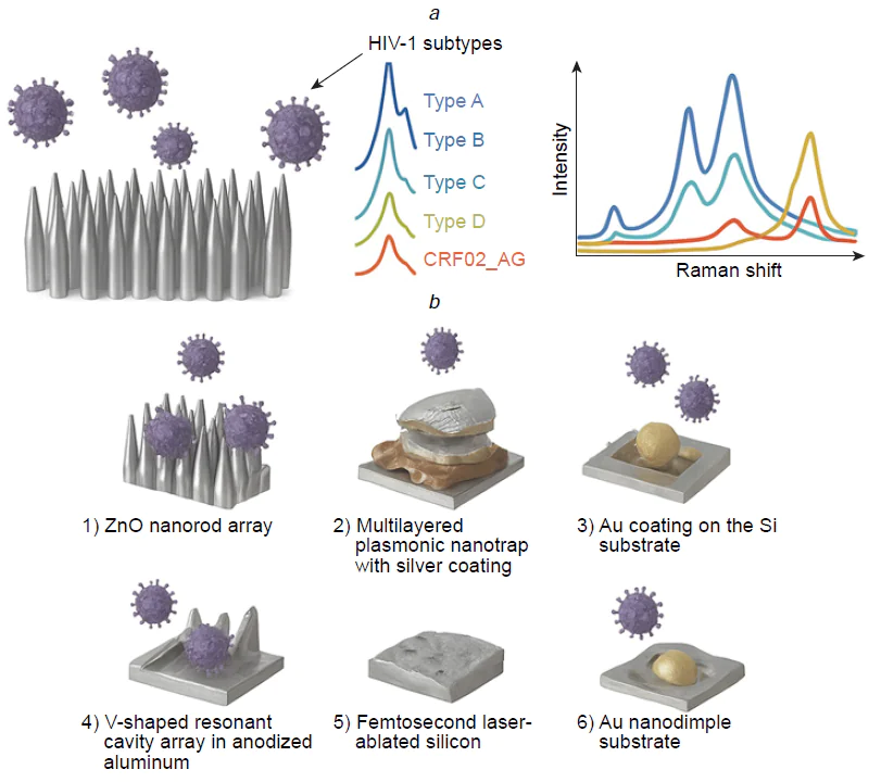 The SERS substrates for acquisition of intrinsic SERS spectra of the viruses. Silver nanorod array allows HIV subtype decoding (a); other variants of SERS substrates that provide the viral intrinsic spectra acquisition (b).