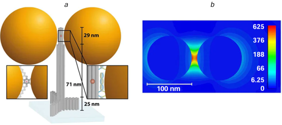 (a) Sketch view of a hybrid structure in which two gold nanoparticles of 100 nm in diameter are attached to a columnar DNA origami containing the ATTO 647N fluorophore incorporated in the middle of a 6-helix bundle and thus positioned at the centre of the interparticle gap. (b) Numerical simulation of the electric field intensity in the equatorial plane of the dimer structure with an interparticle distance of 12 nm at a 640 nm wavelength and at the incident electric field polarization parallel to the dimer orientation.143 Figure reproduced with permission from the American Chemical Society.