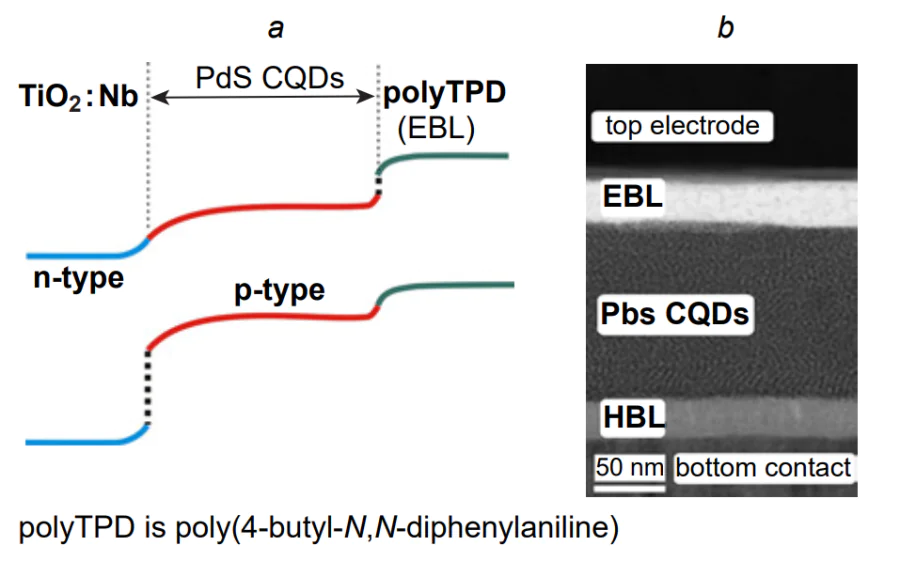 Energy diagram (a) and STEM image of the architecture (b) of the ITO (top electrode)/polyTPD (EBL)/PbS CQDs/TiO2 :Nb (HBL)/bottom electrode photosensor[93].