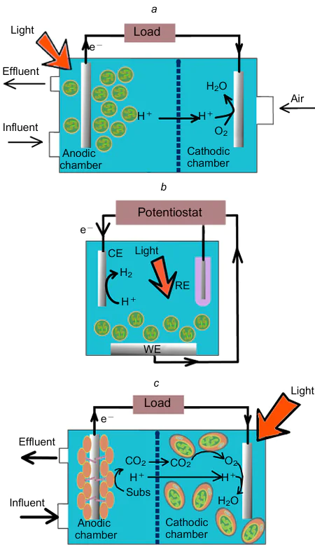 Schematic diagram of a photosynthetic microbial fuel cell. Dual-chamber PMFC (a); three electrode configuration in single-chamber PMFC (b); algal-assisted PMFC (c). Subs is substrate, CE is counter electrode, RE is reference electrode, WE is working electrode