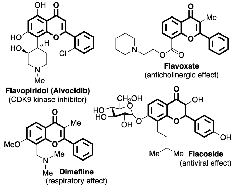 Drugs based on flavones and their pharmacological action.