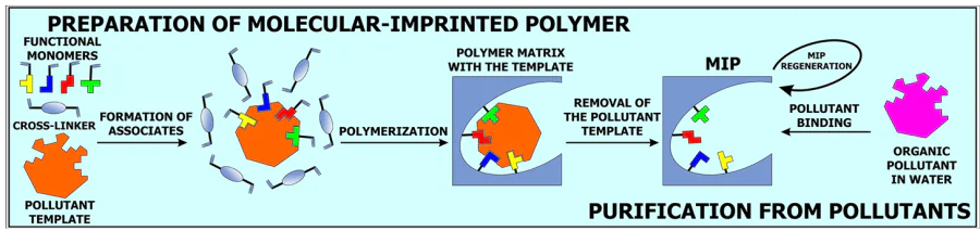 Conceptual chart of the preparation of molecular-imprinted polymers and their use to remove organic pollutants from water.