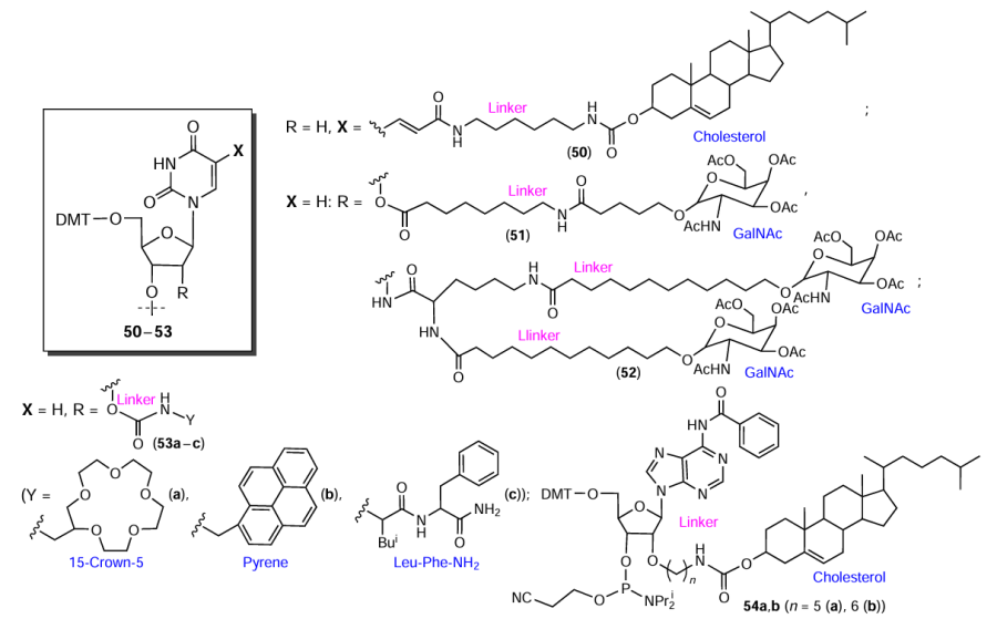 Structures of lab-made nucleotide modifiers based on uridine (50 – 54) and adenosine (54)
