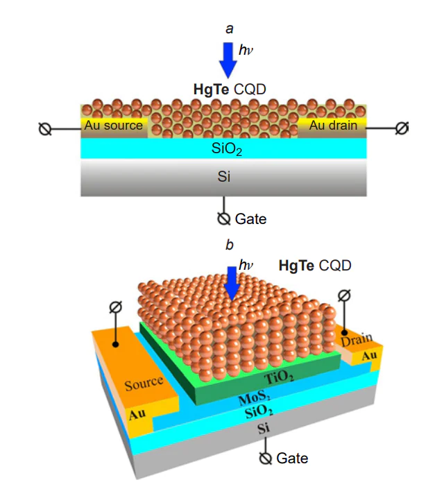 Architecture of field-effect phototransistors: (a) based on HgTe CQDs with the structure Si/SiO2/HgTe CQD (/Au)[220] and (b) Si/SiO2/MoS2 (/Au)/TiO2/HgTe CQD[221].