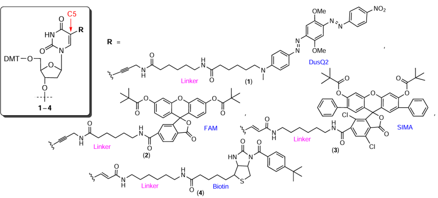 Structures of commercial nucleotide modifiers 1 – 4